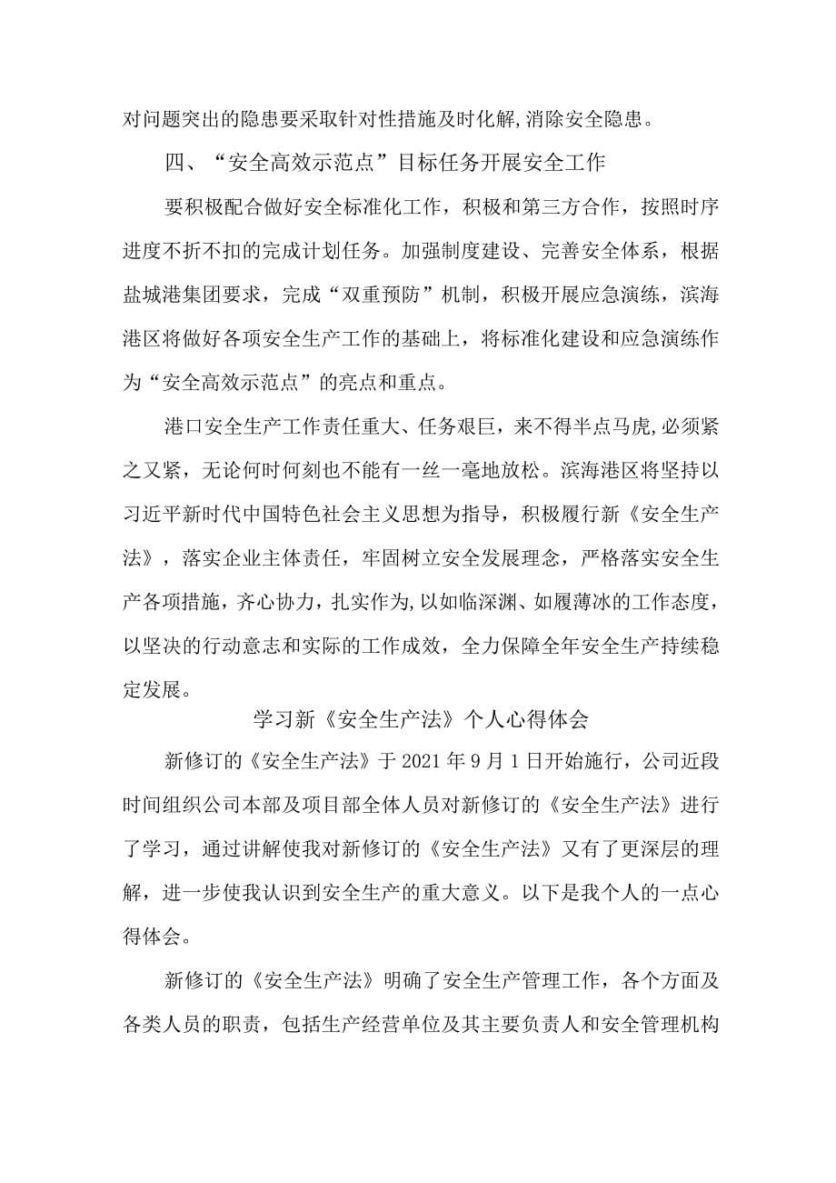 安全管理部部长学习新安全生产法心得体会 （合计4份）_第5页