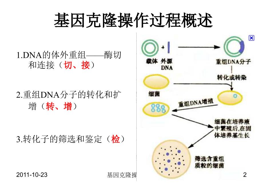 5第五章基因克隆操作过程_第2页