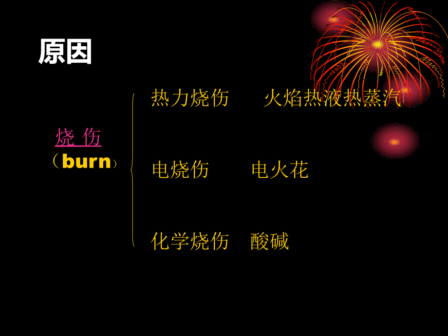 大面积烧伤的处理及植皮术课件_第4页