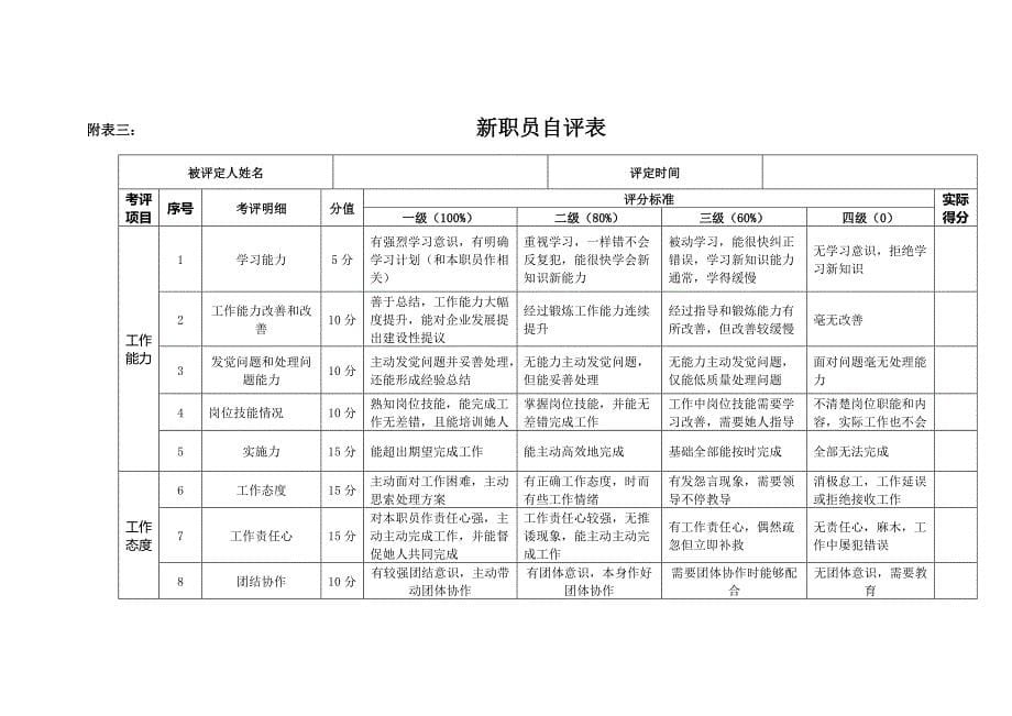 新员工考核专项方案.docx_第5页