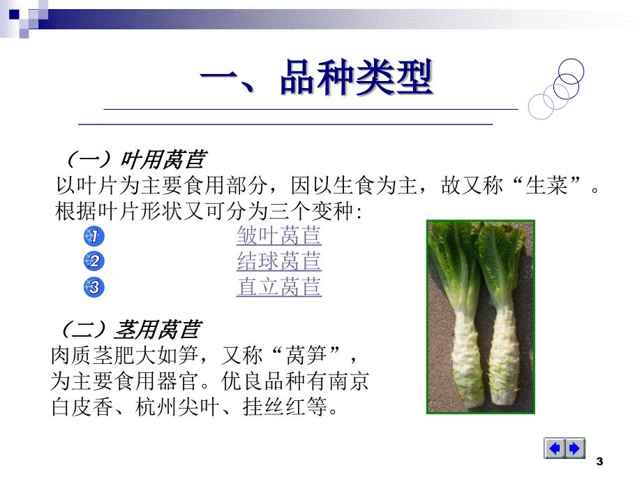 莴苣PPT精选文档_第3页