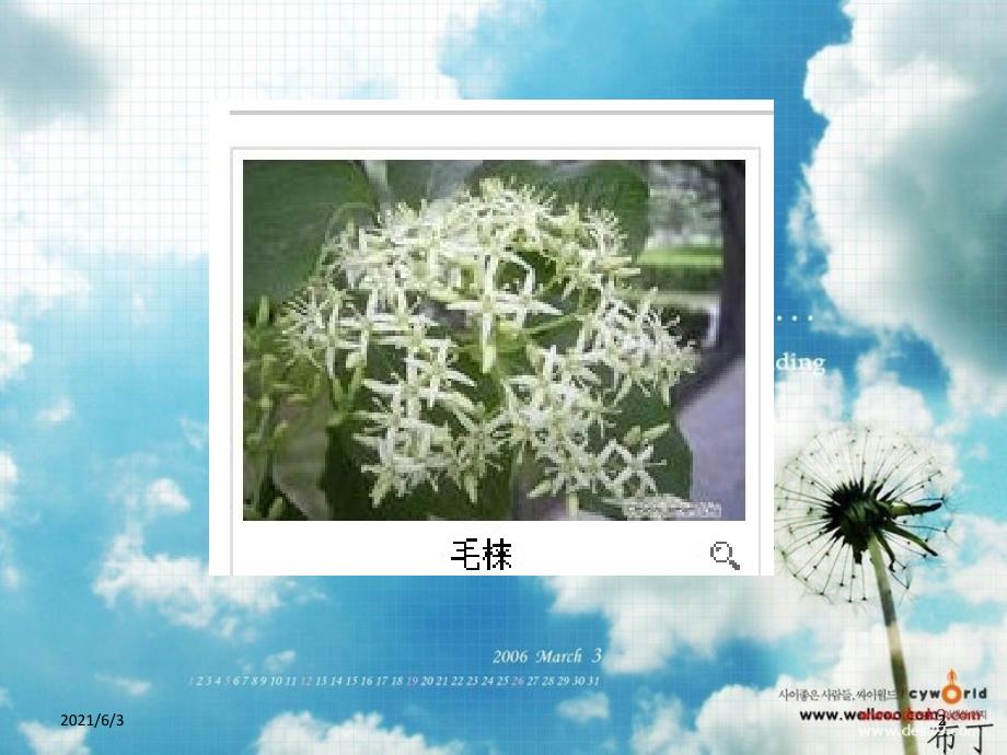 花卉种名拉丁名生态习性繁殖要点_第2页