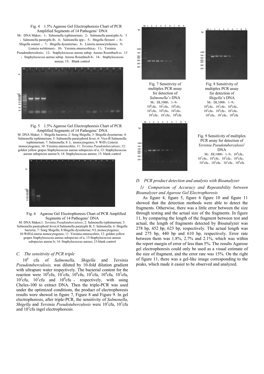 外文翻译-- Application of Agilent 2100 Bioanalyzer in Multiplex PCR forDetection of Foodborne Pathogens_第3页