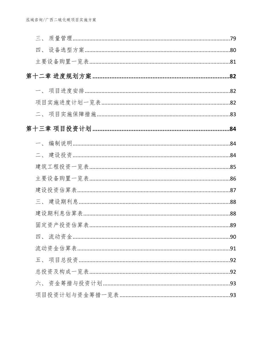 广西二硫化碳项目实施方案模板范本_第5页