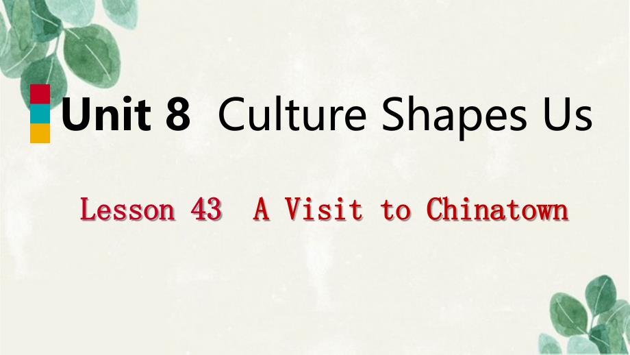 九年级英语下册Unit8CultureShapesUsLesson43AVisittoChinatown课件新版冀教版_第1页