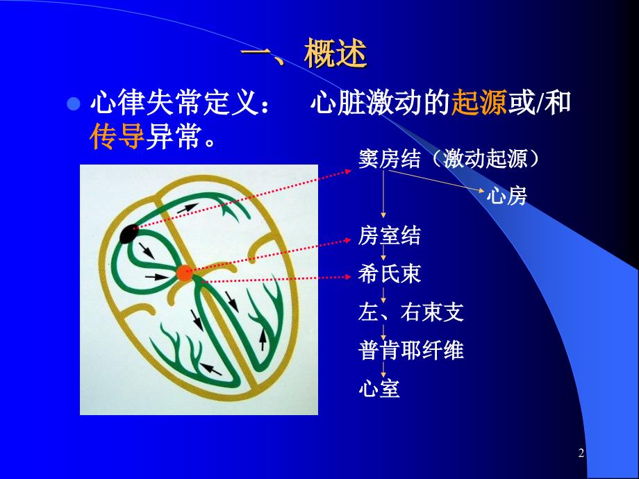 心电图心律失常PPT课件_第2页