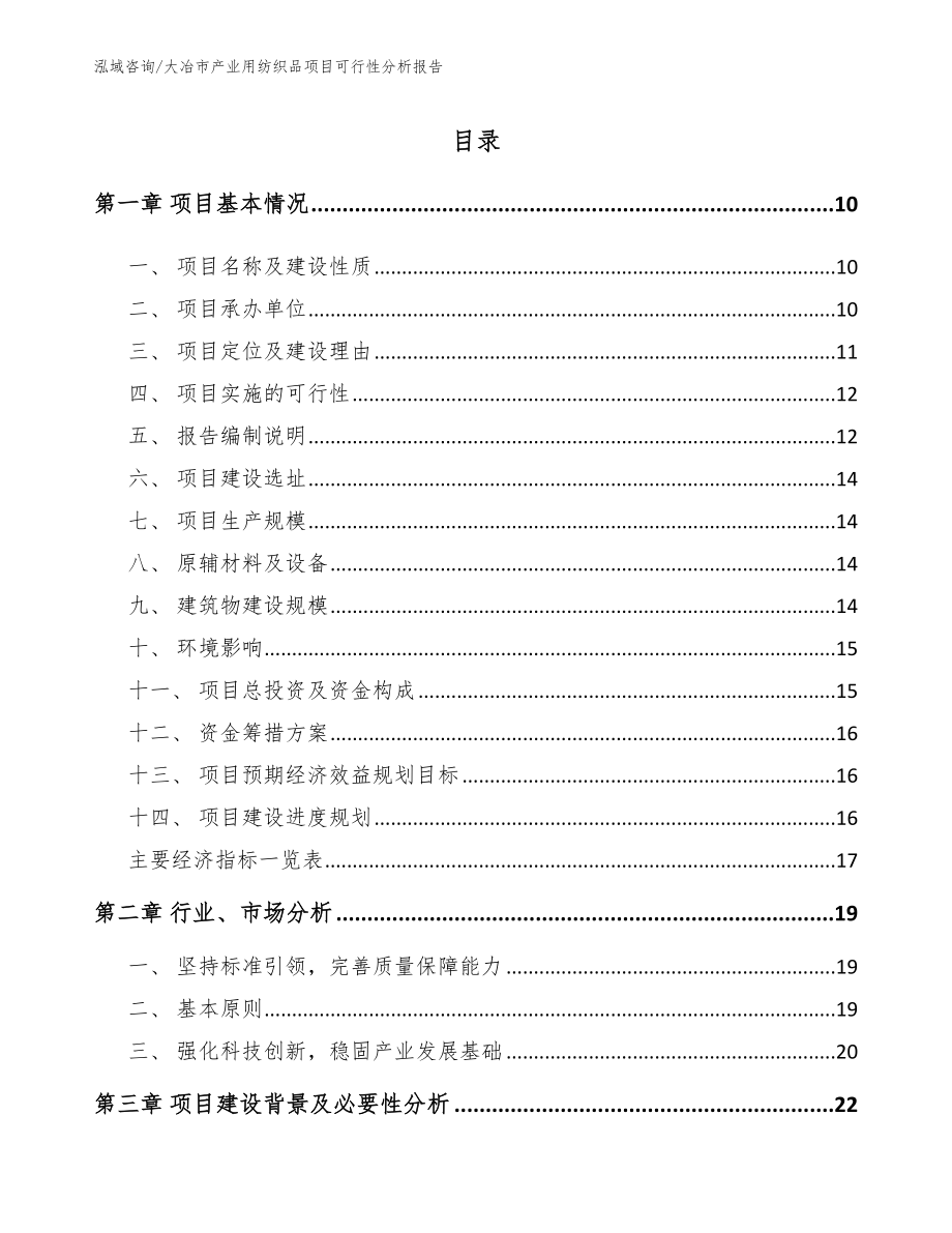 大冶市产业用纺织品项目可行性分析报告_范文_第2页