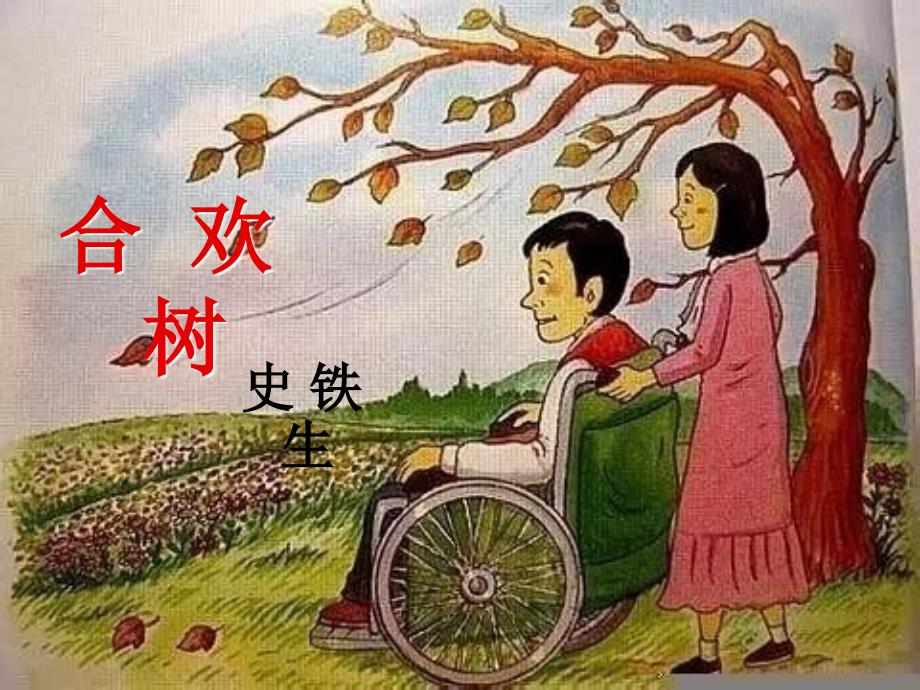 合欢树全新课件_第1页