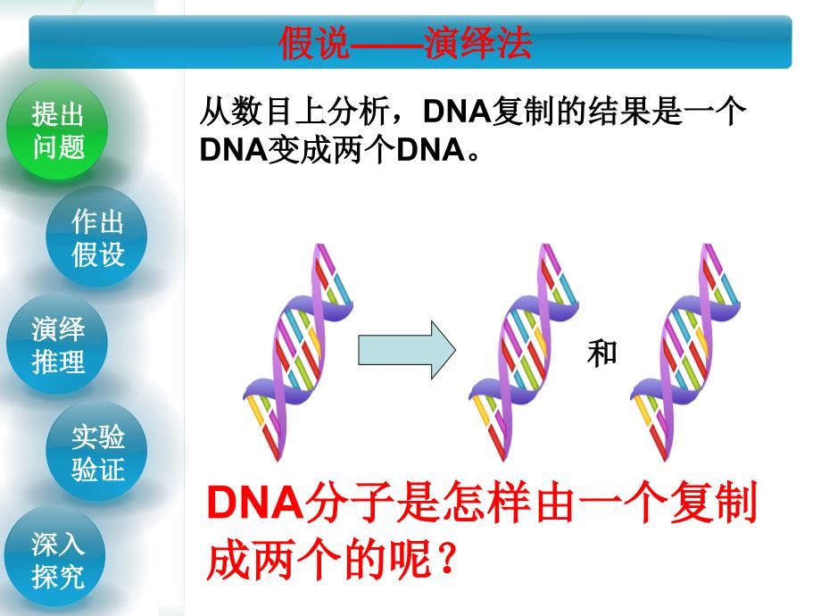 高中生物 3.3-3.4DNA的复制 基因是有遗传效应的DNA片段课件 新人教版必修2.ppt_第1页