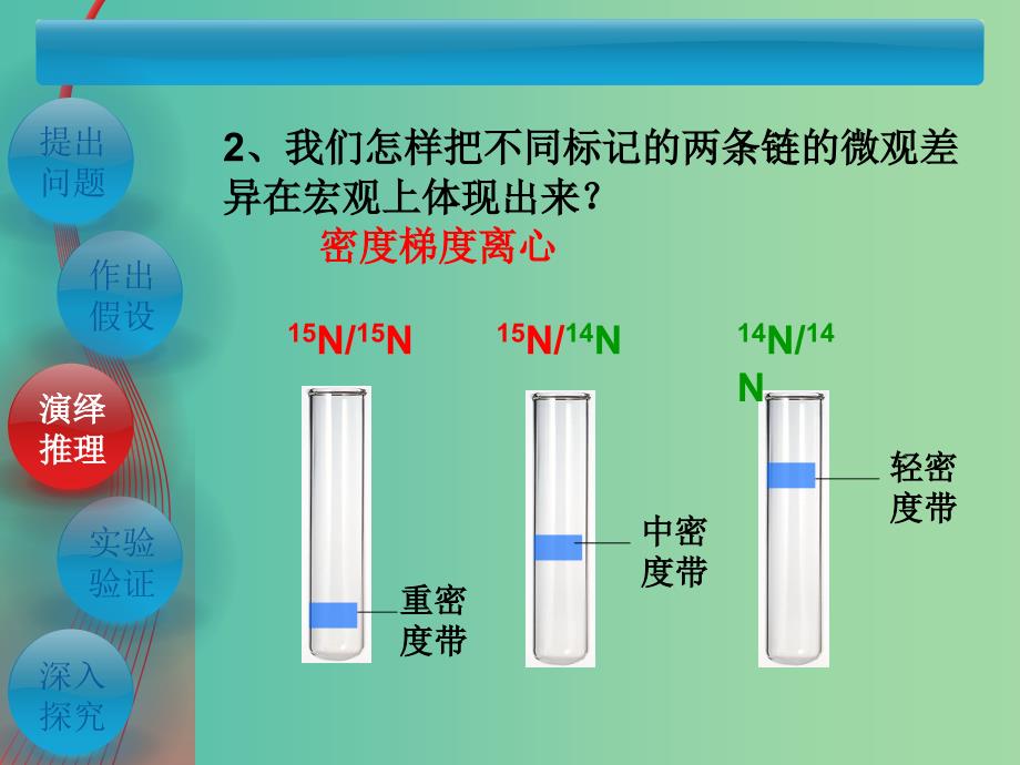 高中生物 3.3-3.4DNA的复制 基因是有遗传效应的DNA片段课件 新人教版必修2.ppt_第4页