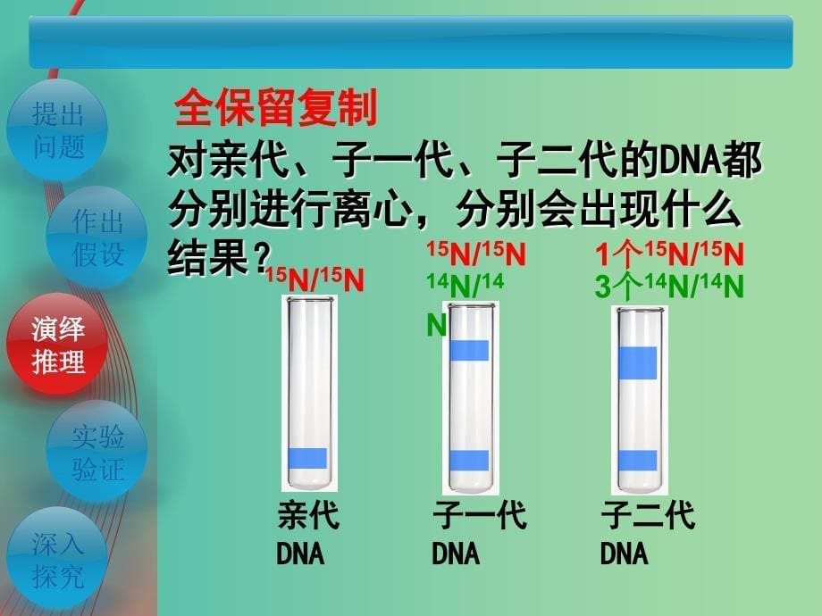 高中生物 3.3-3.4DNA的复制 基因是有遗传效应的DNA片段课件 新人教版必修2.ppt_第5页