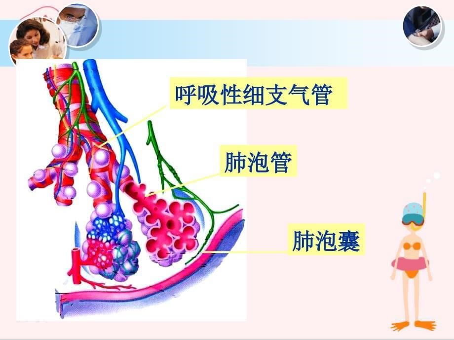 呼吸系统-慢性阻塞性肺疾病_第5页