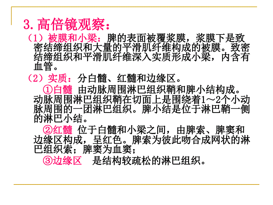 脾的组织结构PPT课件_第3页