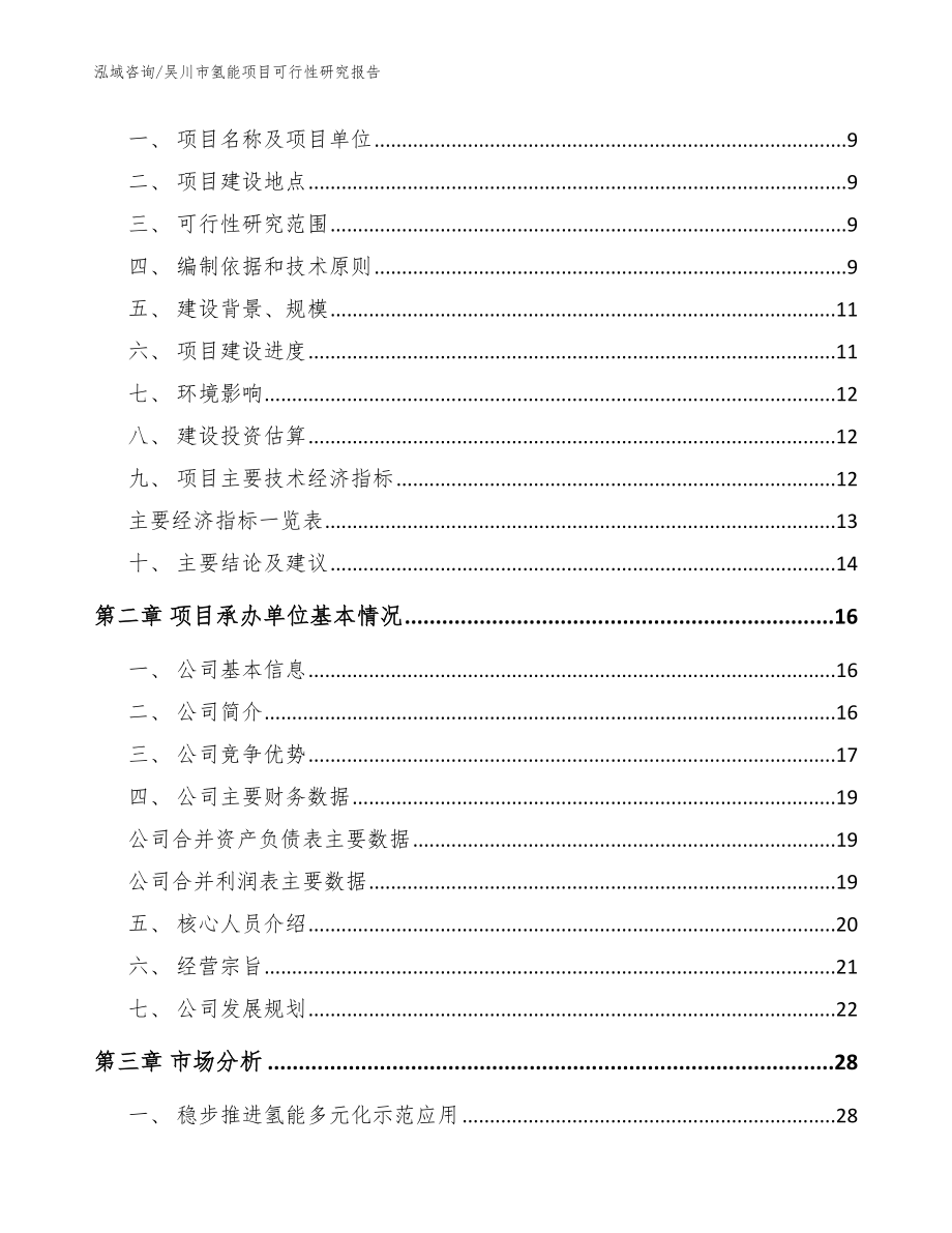 吴川市氢能项目可行性研究报告【模板范本】_第3页