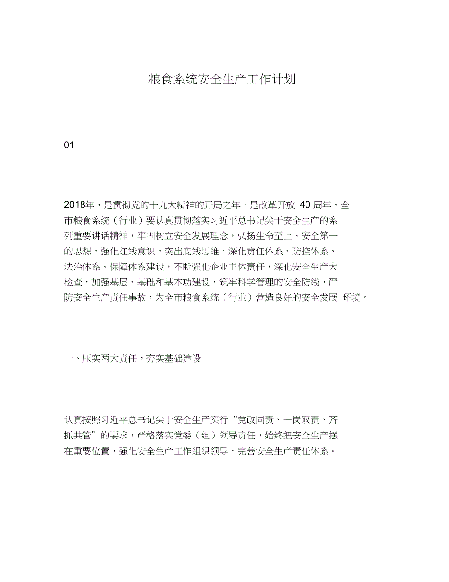 2020年粮食系统安全生产工作计划_第1页