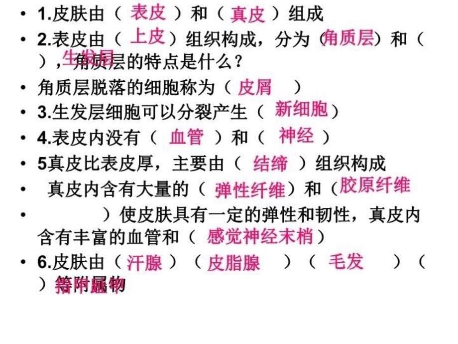 最新复件七年级生物第二节汗液的形成和排出课件全国通用ppt课件_第5页