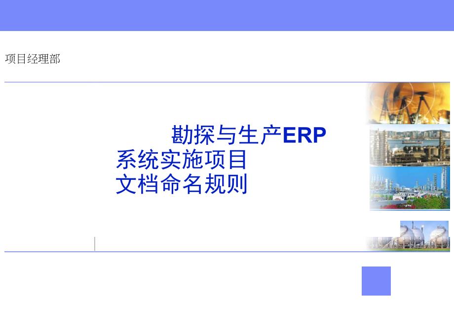 1中石油西南油气ERP实施项目_第1页