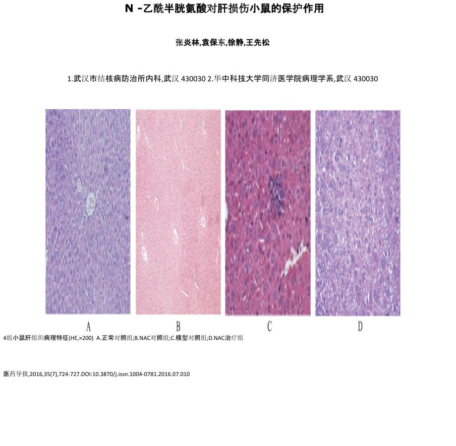 N乙酰半胱氨酸对肝损伤小鼠的保护作用_第1页