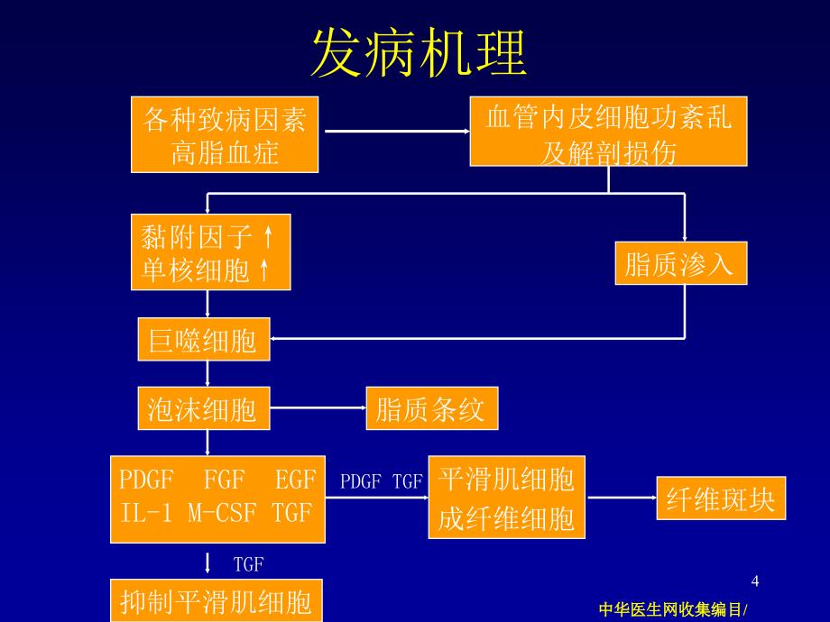 冠状动脉粥样硬化性心脏病-(2)课件_第4页