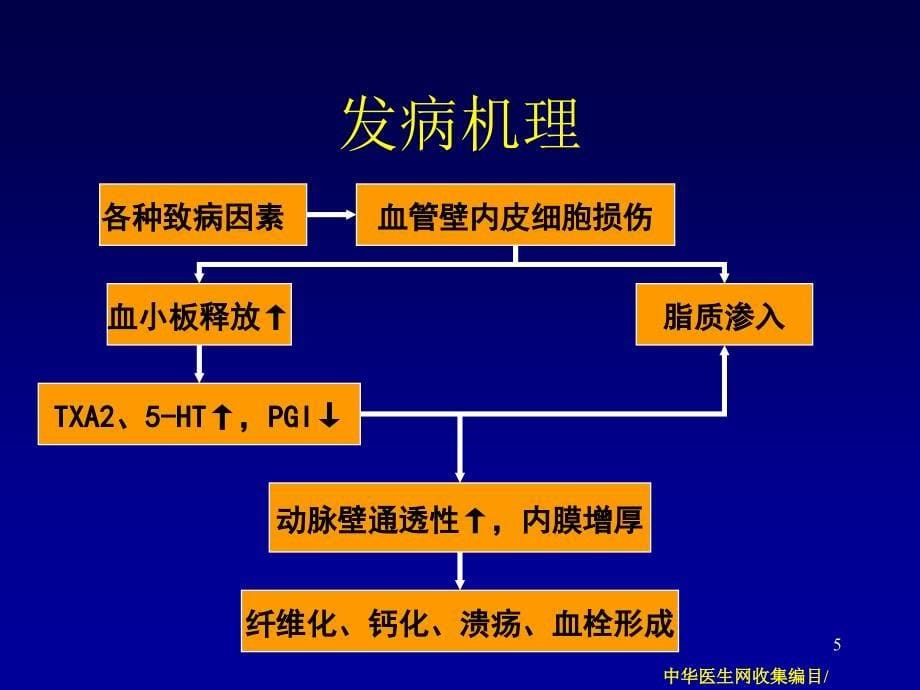 冠状动脉粥样硬化性心脏病-(2)课件_第5页