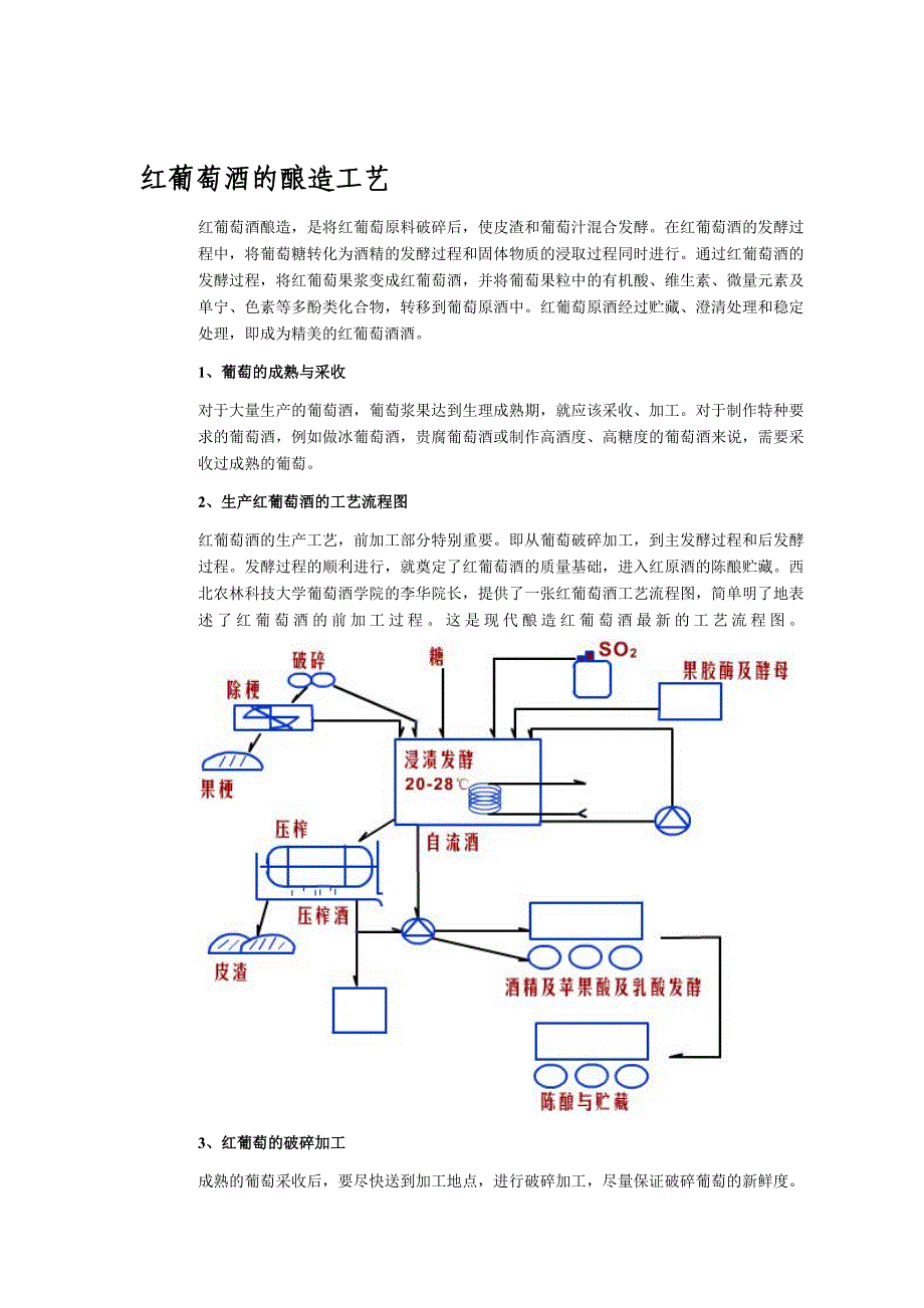 红葡萄酒的酿造工艺_第1页