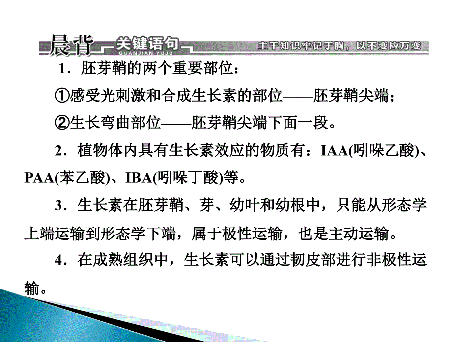 高考生物二轮复习配套课件专题12植物生命活动的调节_第3页