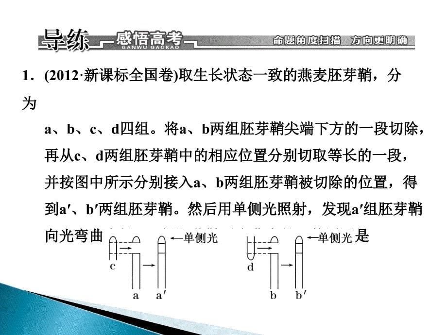 高考生物二轮复习配套课件专题12植物生命活动的调节_第5页