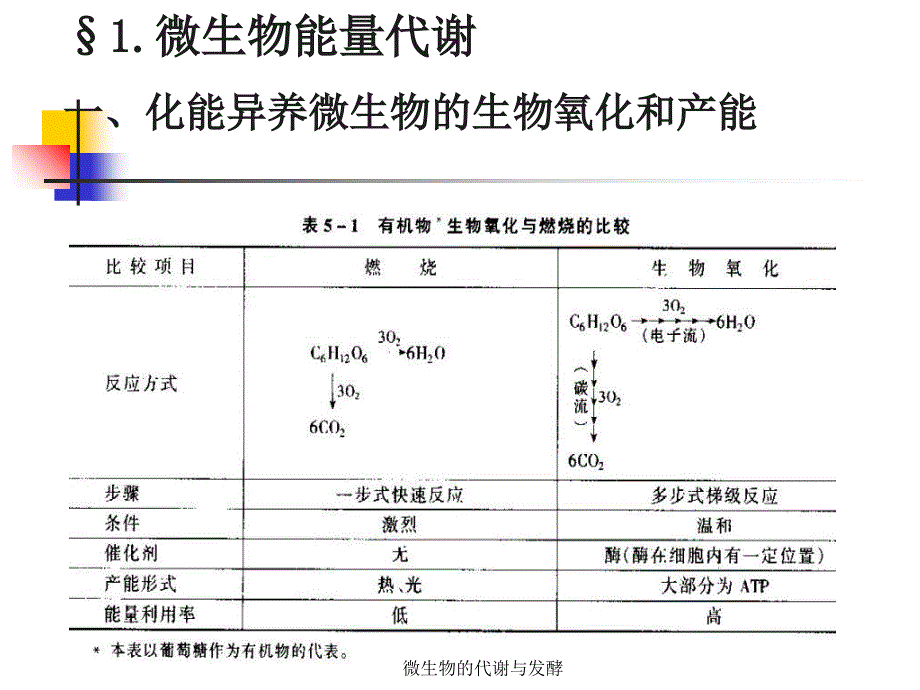 微生物的代谢与发酵课件_第3页