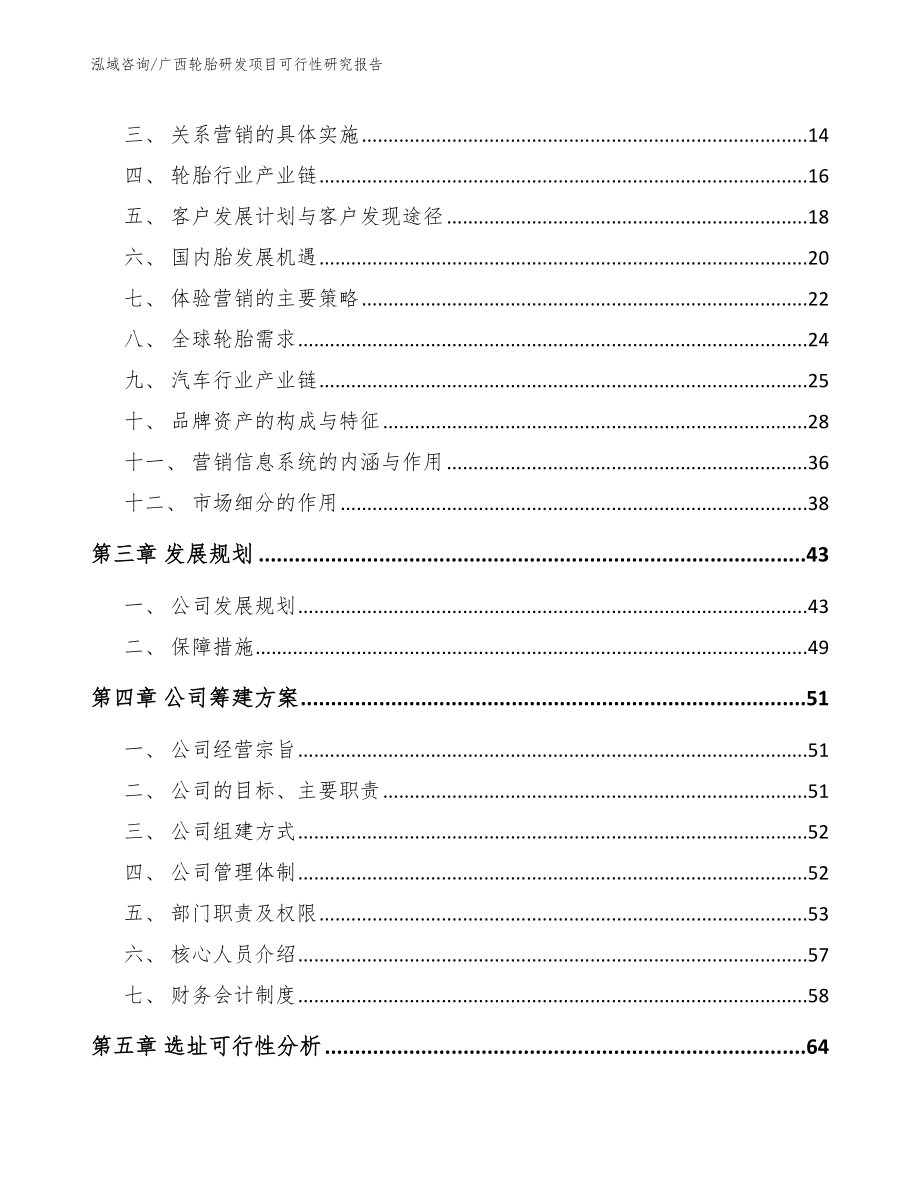 广西轮胎研发项目可行性研究报告_第3页