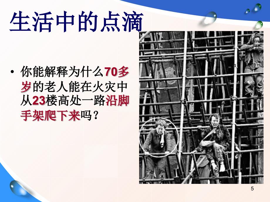 内分泌系统中信息的传递和调节第三_第5页