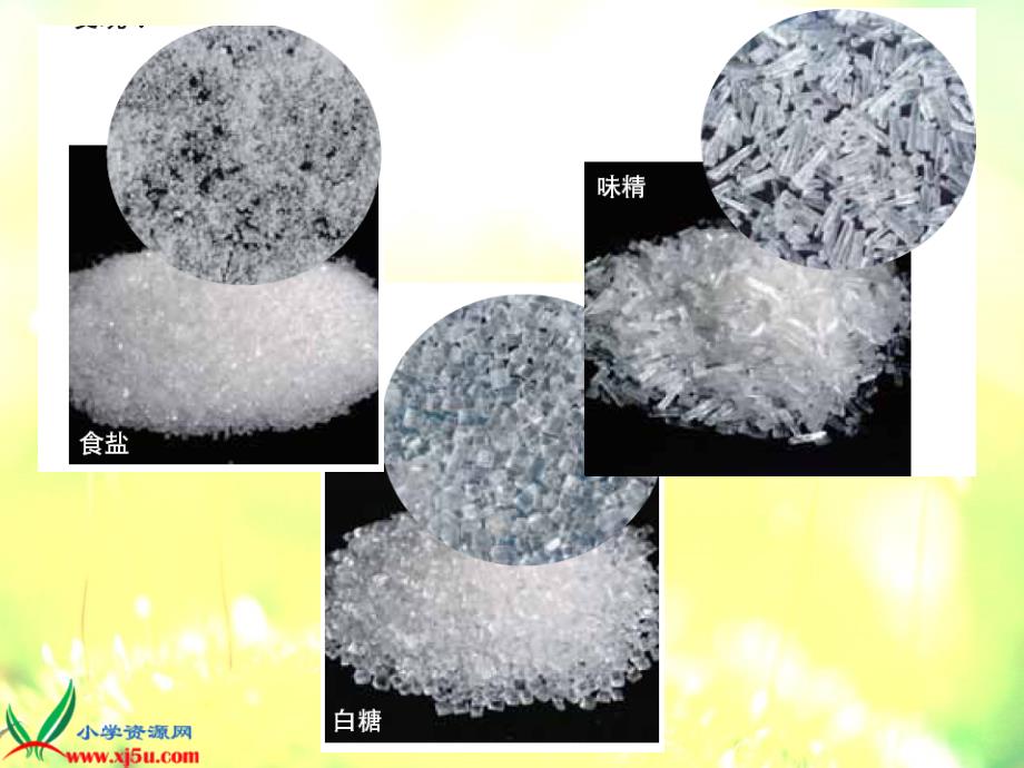 教科版六年级科学下册课件放大镜下的晶体_第3页