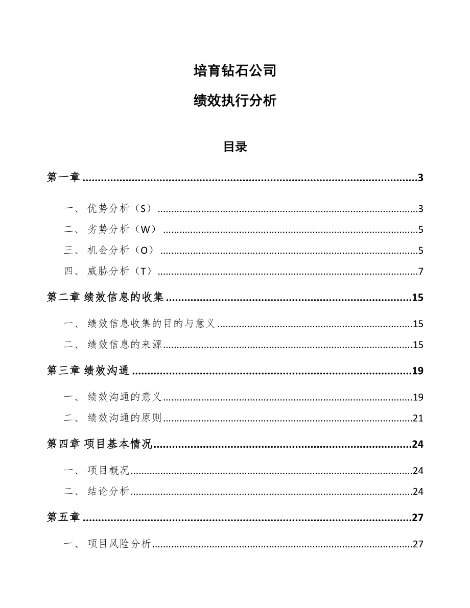 培育钻石公司绩效执行分析模板_第1页