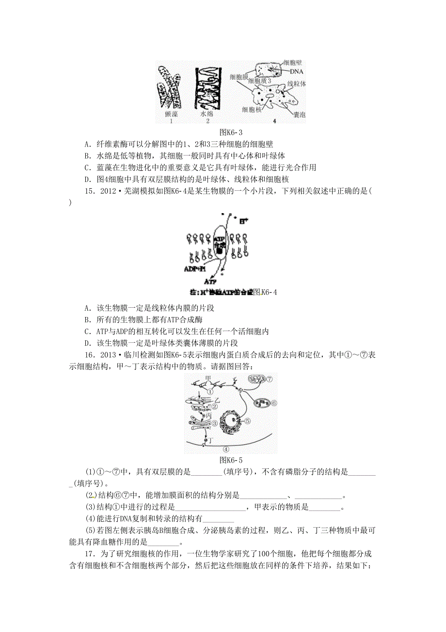 高考生物一轮必备基础训练提升训练挑战训练各种细胞器与细胞核新人教版_第3页