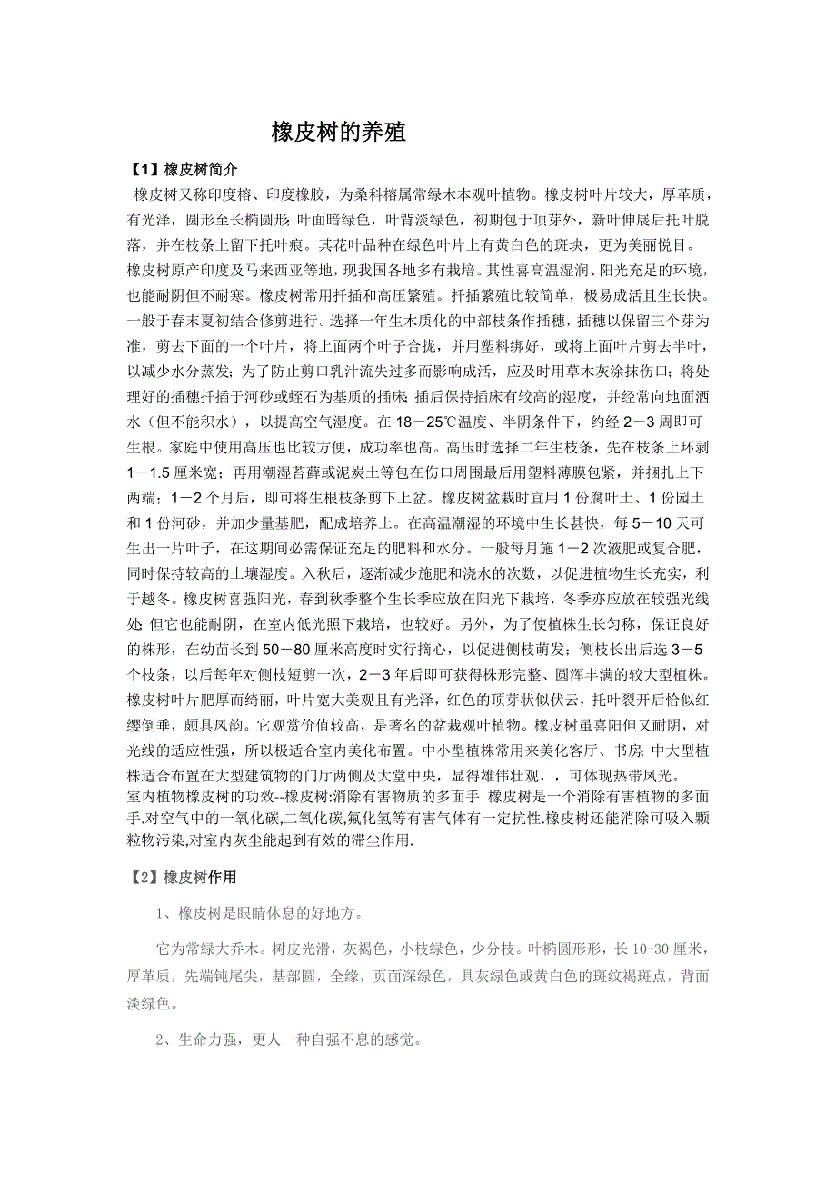 一棵不起眼的橡皮树.doc_第1页