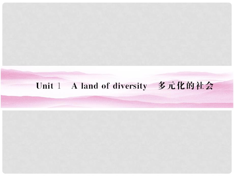 安徽省高三英语一轮复习 Unit 1 A land of diversity课件 新人教版选修8_第4页