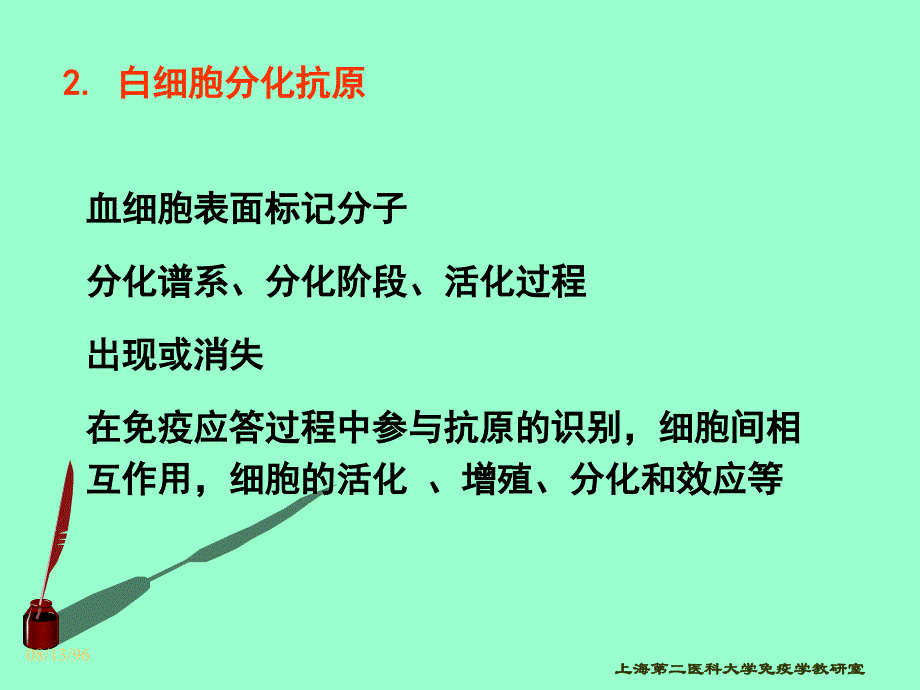 CD分子和粘附分子1_第3页