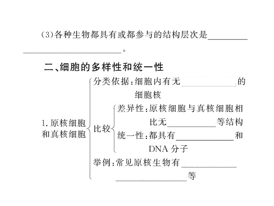 走进细胞复习课件_第4页