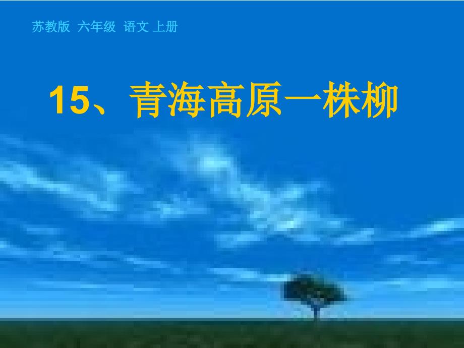 15、青海高原一株柳_第2页