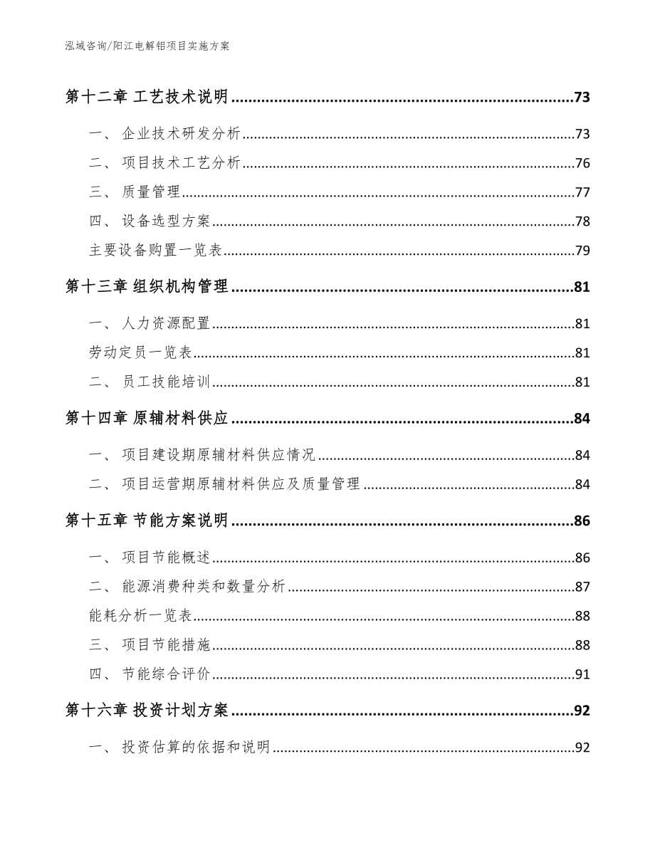 阳江电解铝项目实施方案_参考范文_第5页