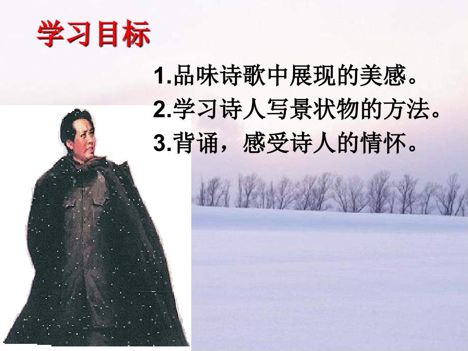 沁园春雪(教案)_第3页