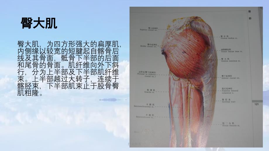 臀大肌肌皮瓣课件.ppt【深度讲解】_第3页