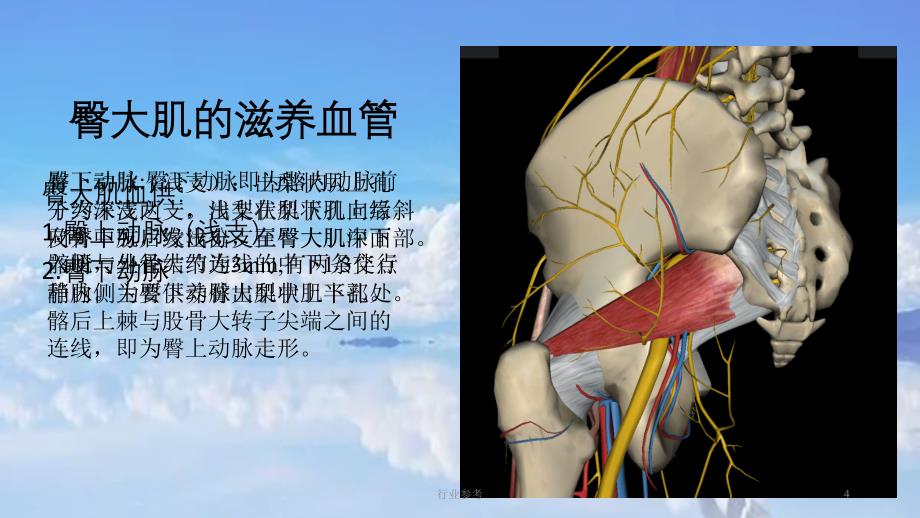 臀大肌肌皮瓣课件.ppt【深度讲解】_第4页