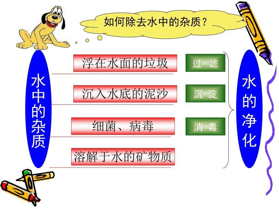 青岛版小学科学四年级上册精品课件《水里有什么》_第5页