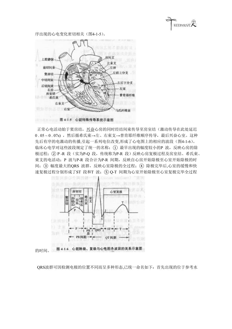 心电图基础知识.doc_第3页