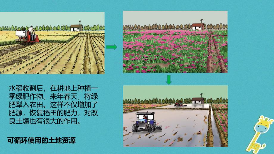 八年级地理上册第三章第一节自然资源课件新版新人教版_第4页