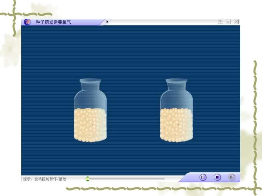 植物的呼吸作用第一课时_第5页