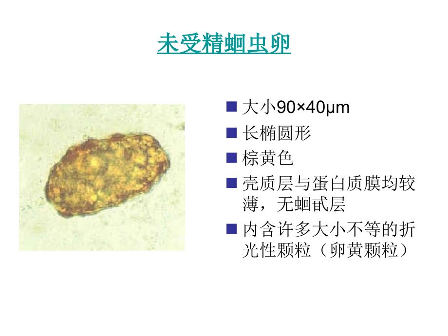 土线生活病原、诊断和操作知识_第3页