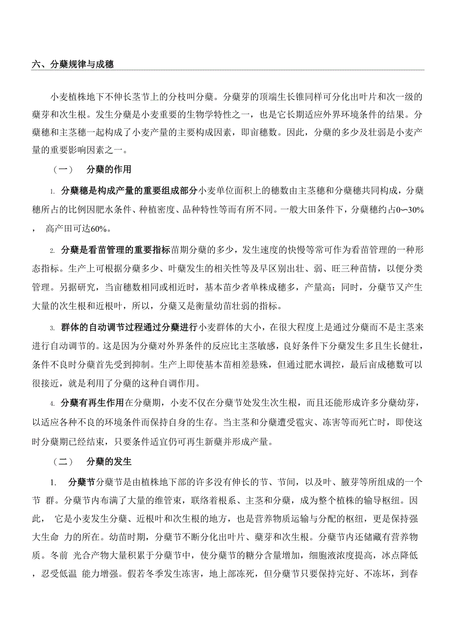 小麦分蘖规律与成穗_第1页