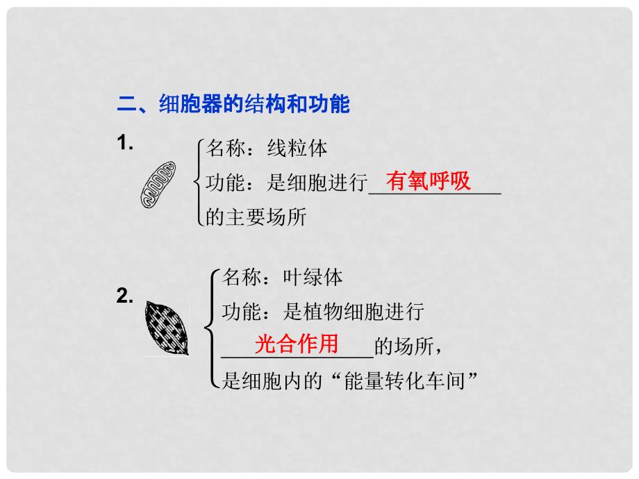 高考生物总复习 第一单元 有机体中的细胞 第二章 细胞的构成 第二节 细胞的基本结构课件 中图版必修1_第4页