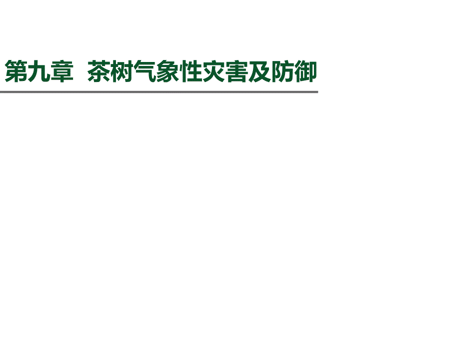 茶树栽培学课件第九章茶树气象性灾害及防御_第3页